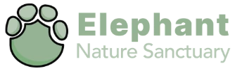 elephantnaturesanctuary